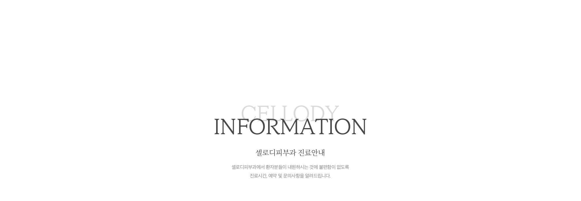 진료안내
