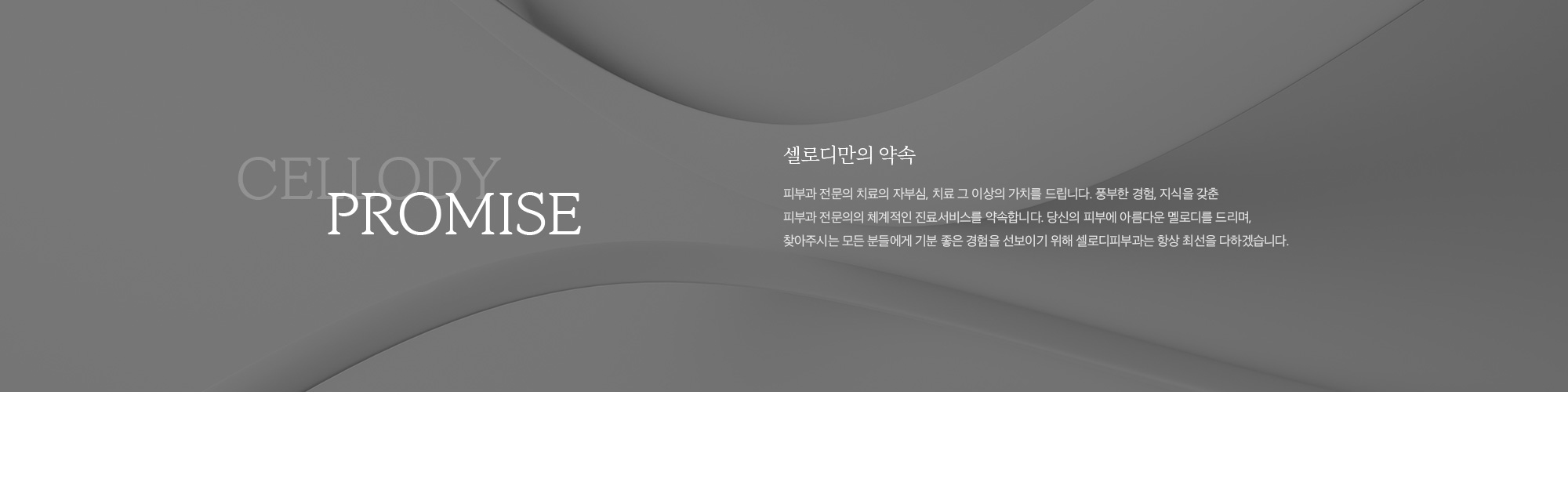 찾아오시는 길